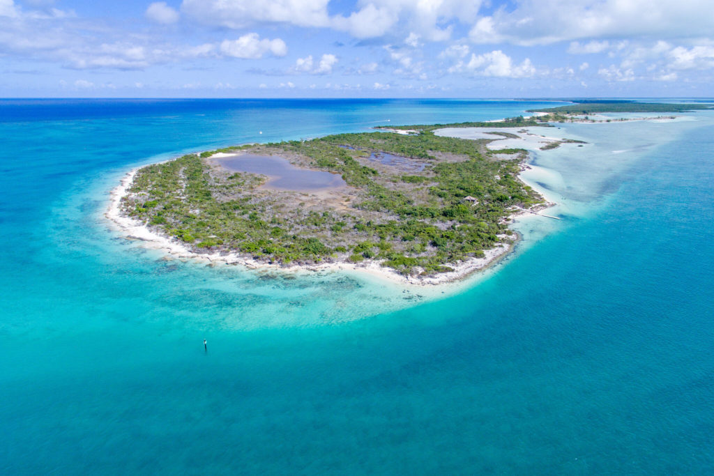 Iguana Island
