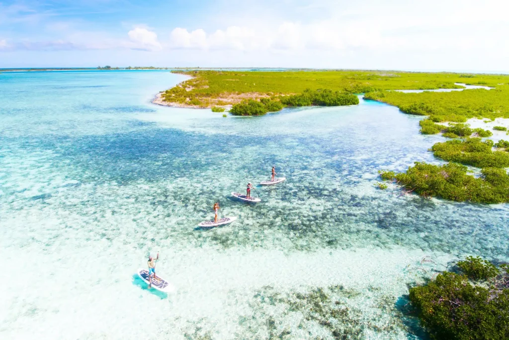 Rising Tides Tours Mangrove Cay Paddleboarding