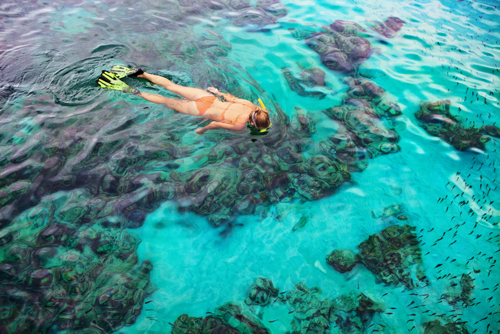 Snorkeling with coral reef and fishes in Turks and Caicos