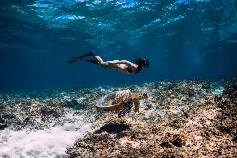 Woman freediver near sea turtle